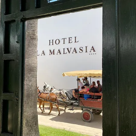 Hotel La Malvasía 4*